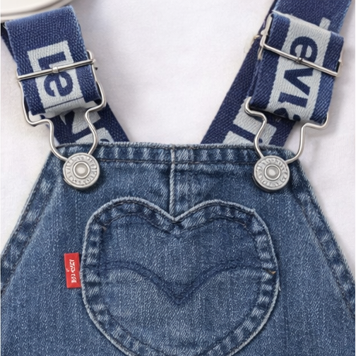 OVERALL LEVIS